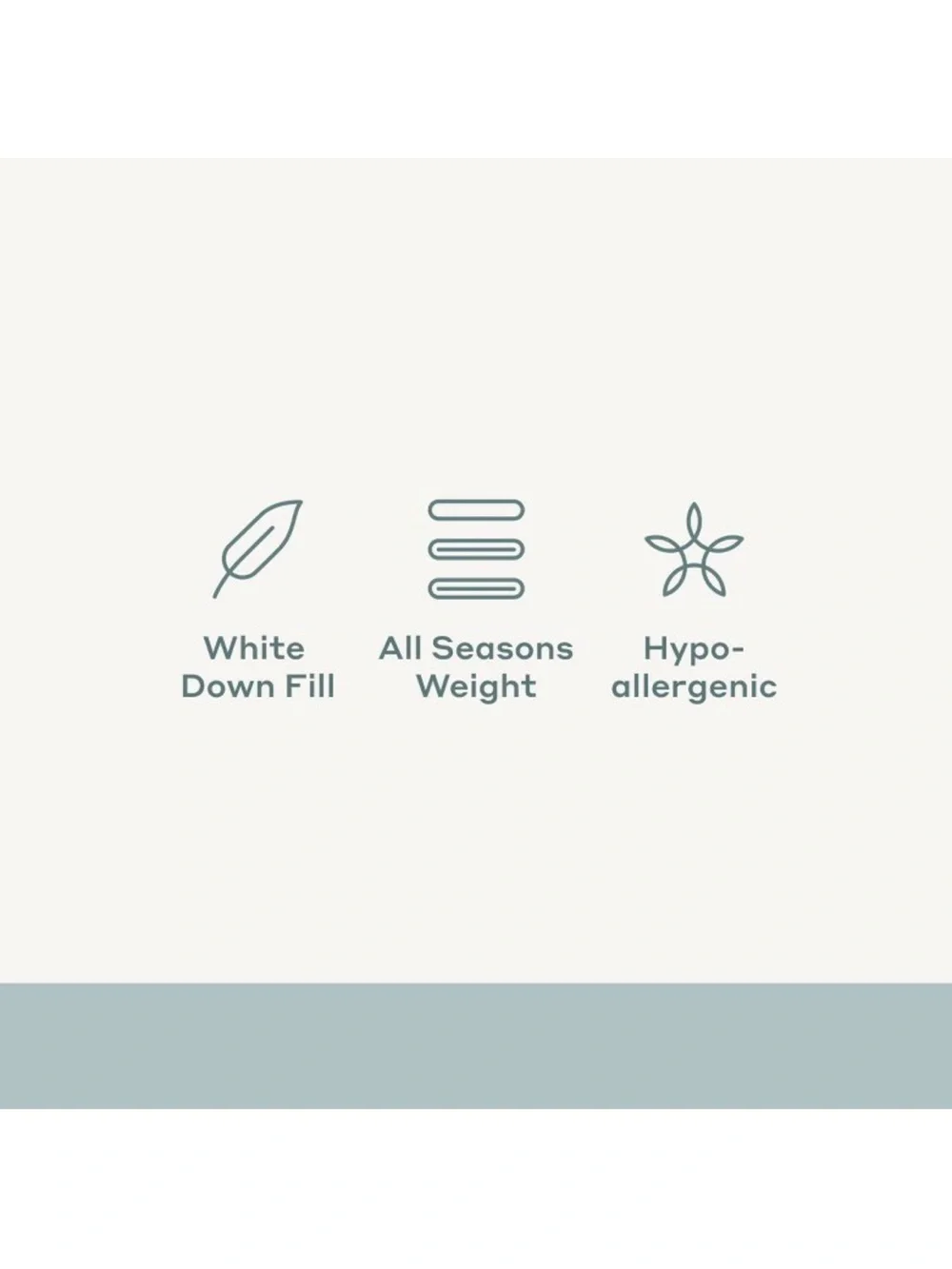 Casaluna F/Q All Season Weight Premium Down Comforter